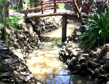 Thông tin từ đường dây nóng